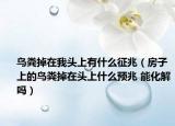 鳥(niǎo)糞掉在我頭上有什么征兆（房子上的鳥(niǎo)糞掉在頭上什么預(yù)兆 能化解嗎）