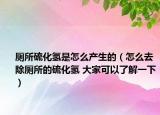 廁所硫化氫是怎么產(chǎn)生的（怎么去除廁所的硫化氫 大家可以了解一下）