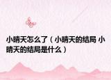 小晴天怎么了（小晴天的結(jié)局 小晴天的結(jié)局是什么）