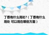 丁香有什么用處?（丁香有什么用處 可以用在哪些方面）