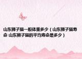 山東獅子貓一般體重多少（山東獅子貓壽命 山東獅子貓的平均壽命是多少）