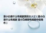 夏小白是什么電視劇里的主人公（夏小白是什么電視劇 夏小白哪部電視劇中的角色）