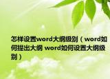 怎樣設置word大綱級別（word如何提出大綱 word如何設置大綱級別）