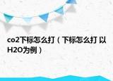 co2下標(biāo)怎么打（下標(biāo)怎么打 以H2O為例）