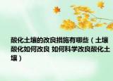酸化土壤的改良措施有哪些（土壤酸化如何改良 如何科學(xué)改良酸化土壤）