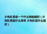 少先隊(duì)員是一個(gè)什么樣的組織（少先隊(duì)員是什么意思 少先隊(duì)是什么組織）