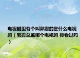 電視劇里有個(gè)叫郭震的是什么電視?。ü鹂偙O(jiān)哪個(gè)電視劇 你看過嗎）