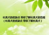 杜高犬的優(yōu)缺點(diǎn) 帶你了解杜高犬的性格（杜高犬的優(yōu)缺點(diǎn) 帶你了解杜高犬）
