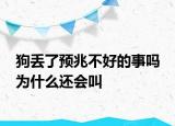狗丟了預(yù)兆不好的事嗎 為什么還會叫