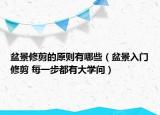 盆景修剪的原則有哪些（盆景入門修剪 每一步都有大學(xué)問）