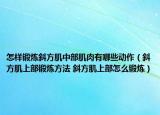怎樣鍛煉斜方肌中部肌肉有哪些動(dòng)作（斜方肌上部鍛煉方法 斜方肌上部怎么鍛煉）