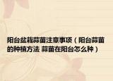 陽臺盆栽蒜苗注意事項（陽臺蒜苗的種植方法 蒜苗在陽臺怎么種）