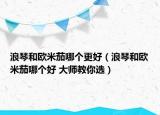 浪琴和歐米茄哪個更好（浪琴和歐米茄哪個好 大師教你選）