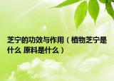 芝寧的功效與作用（植物芝寧是什么 原料是什么）
