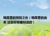 鴨屎香的特別之處（鴨屎香的由來(lái) 這些你需要知道的）