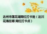 達(dá)州市蓮花湖網(wǎng)紅打卡地（達(dá)川花海在哪 網(wǎng)紅打卡點(diǎn)）