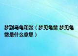 夢到烏龜和鱉（夢見龜鱉 夢見龜鱉是什么意思）