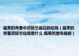 最美的青春中武延生最后的結(jié)局（最美的青春武延生結(jié)局是什么 癡果然是電視劇）
