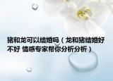 豬和龍可以結(jié)婚嗎（龍和豬結(jié)婚好不好 情感專家?guī)湍惴治龇治觯? /></span></a>
                        <h2><a href=