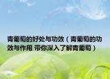 青葡萄的好處與功效（青葡萄的功效與作用 帶你深入了解青葡萄）