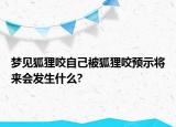 夢見狐貍咬自己被狐貍咬預(yù)示將來會發(fā)生什么?
