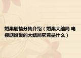 婚巢劇情分集介紹（婚巢大結(jié)局 電視劇婚巢的大結(jié)局究竟是什么）