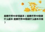 魔獸世界40多級副本（魔獸世界40級做什么副本 魔獸世界40級刷什么副本升級）