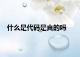 什么是代碼是真的嗎