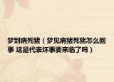 夢到病死豬（夢見病豬死豬怎么回事 這是代表壞事要來臨了嗎）
