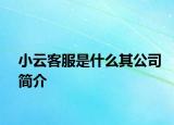 小云客服是什么其公司簡(jiǎn)介
