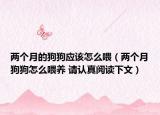 兩個(gè)月的狗狗應(yīng)該怎么喂（兩個(gè)月狗狗怎么喂養(yǎng) 請(qǐng)認(rèn)真閱讀下文）
