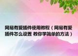 網(wǎng)易有愛插件使用教程（網(wǎng)易有愛插件怎么設(shè)置 教你學(xué)簡單的方法）