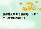 屬猴的人啥命（屬猴是什么命 5個方面給你說明白）