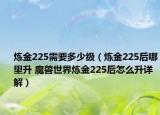 煉金225需要多少級（煉金225后哪里升 魔獸世界煉金225后怎么升詳解）