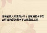 緬甸的收入和消費(fèi)水平（緬甸消費(fèi)水平怎么樣 緬甸的消費(fèi)水平也是直線上漲）