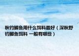 秋釣鯽魚(yú)用什么餌料最好（深秋野釣鯽魚(yú)餌料 一般有哪些）