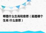 嘢是什么生肖和意思（銗是哪個(gè)生肖 什么意思）