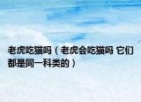 老虎吃貓嗎（老虎會吃貓嗎 它們都是同一科類的）