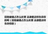 田地被侵占怎么處理 法律是這樣告訴你的呢（田地被侵占怎么處理 法律是這樣告訴你的）