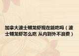 加拿大波士頓龍蝦現(xiàn)在能吃嗎（波士頓龍蝦怎么吃 從內(nèi)到外不浪費(fèi)）