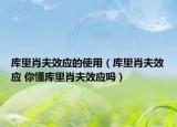 庫(kù)里肖夫效應(yīng)的使用（庫(kù)里肖夫效應(yīng) 你懂庫(kù)里肖夫效應(yīng)嗎）