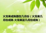 火龍果成熟期在幾月份（火龍果幾月份成熟 火龍果是幾月份成熟）
