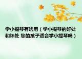 學小提琴有啥用（學小提琴的好處和壞處 您的孩子適合學小提琴嗎）