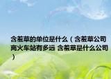 含羞草的單位是什么（含羞草公司離火車站有多遠 含羞草是什么公司）