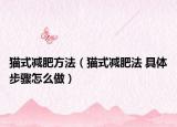 貓式減肥方法（貓式減肥法 具體步驟怎么做）