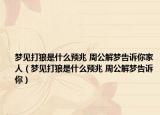 夢見打狼是什么預(yù)兆 周公解夢告訴你家人（夢見打狼是什么預(yù)兆 周公解夢告訴你）