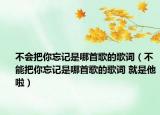 不會把你忘記是哪首歌的歌詞（不能把你忘記是哪首歌的歌詞 就是他啦）