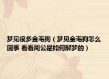 夢(mèng)見(jiàn)很多金毛狗（夢(mèng)見(jiàn)金毛狗怎么回事 看看周公是如何解夢(mèng)的）