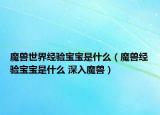 魔獸世界經(jīng)驗寶寶是什么（魔獸經(jīng)驗寶寶是什么 深入魔獸）