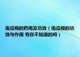南瓜根的藥用及功效（南瓜根的功效與作用 有你不知道的嗎）